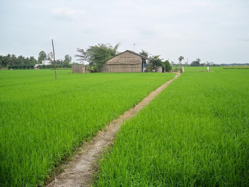 Green Areca Villa Hoi An Exteriér fotografie